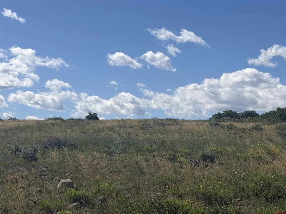 813 Cornestone Loop Montrose, CO 81403