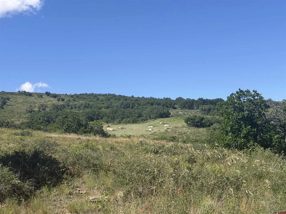 813 Cornestone Loop Montrose, CO 81403