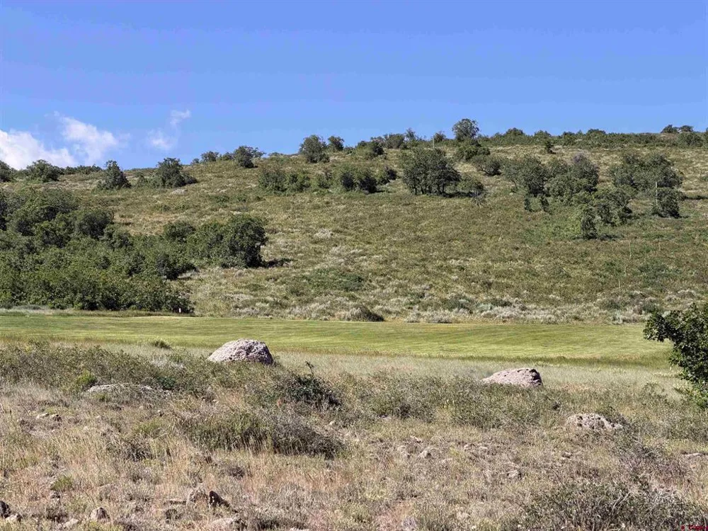 813 Cornestone Loop Montrose, CO 81403