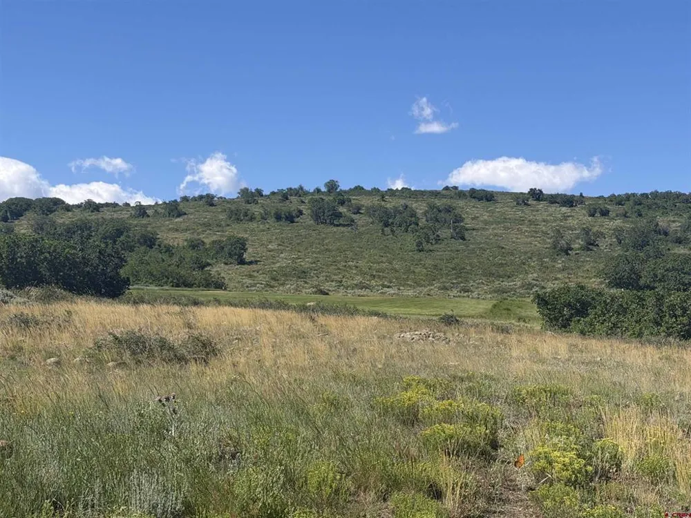 813 Cornestone Loop Montrose, CO 81403