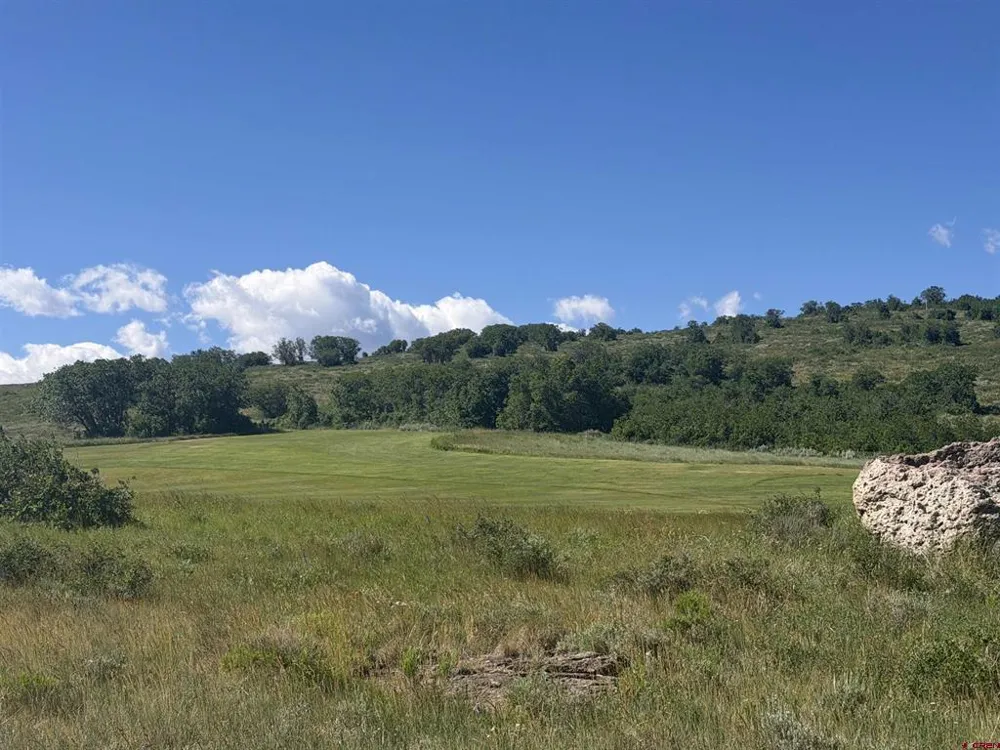 813 Cornestone Loop Montrose, CO 81403