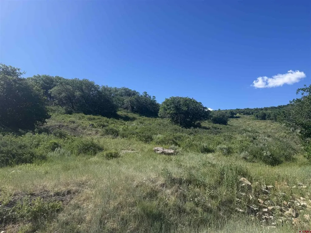 813 Cornestone Loop Montrose, CO 81403