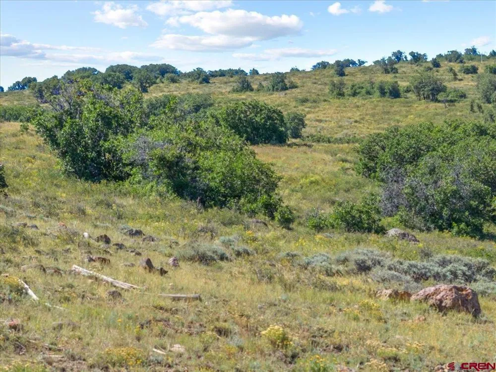 813 Cornestone Loop Montrose, CO 81403