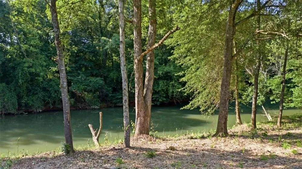 353 Ridgewood Circle Summerville, GA 30747