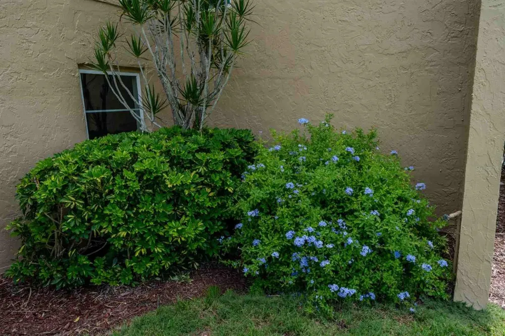 225 COUNTRY CLUB DRIVE #D142 Largo, FL 33771
