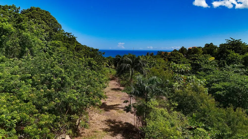 PUNTAS PARADISE-- CALLE VISTA DEL MAR Rincon, PR 00677