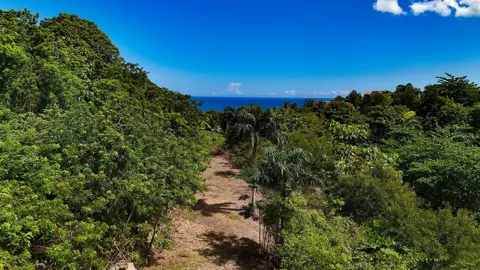 PUNTAS PARADISE-- CALLE VISTA DEL MAR