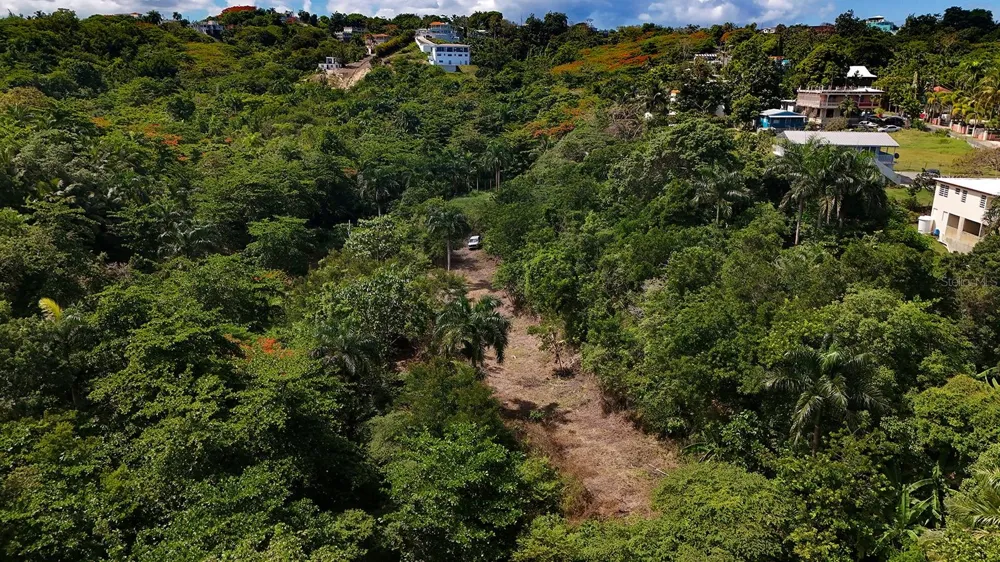 PUNTAS PARADISE-- CALLE VISTA DEL MAR Rincon, PR 00677