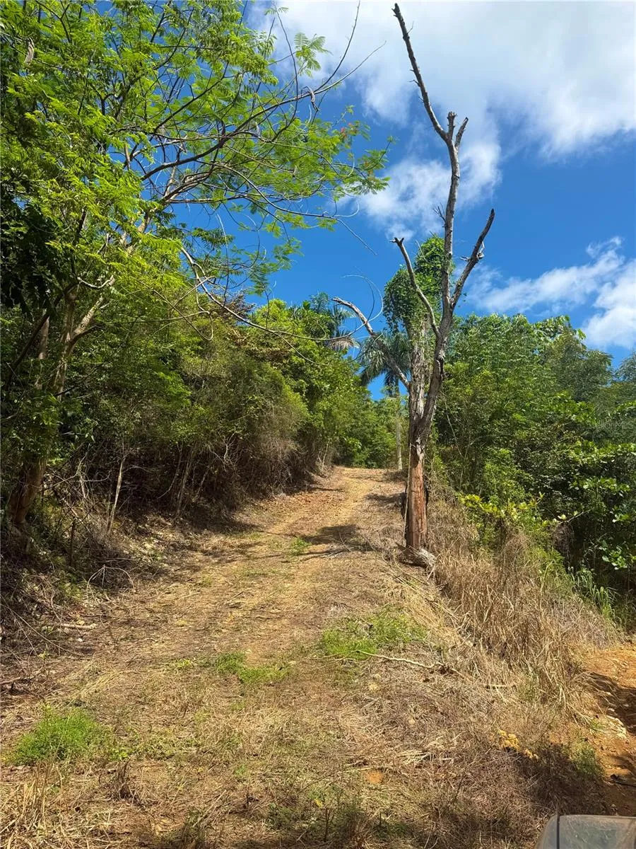 PUNTAS PARADISE-- CALLE VISTA DEL MAR Rincon, PR 00677