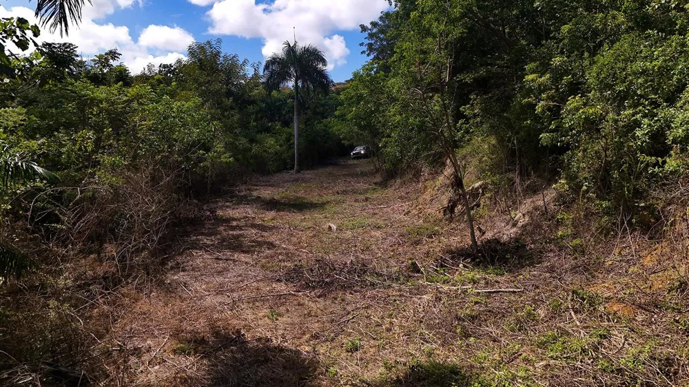 PUNTAS PARADISE-- CALLE VISTA DEL MAR Rincon, PR 00677