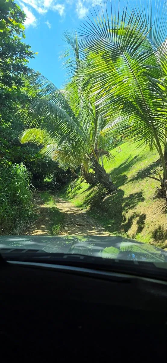 PUNTAS PARADISE-- CALLE VISTA DEL MAR Rincon, PR 00677