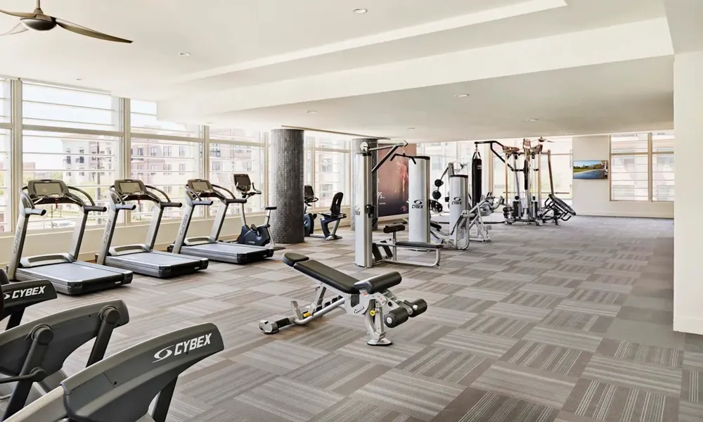 2727 Travis Street #501 Houston, TX 77006