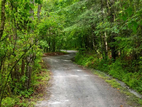 Old Cullowhee Rd