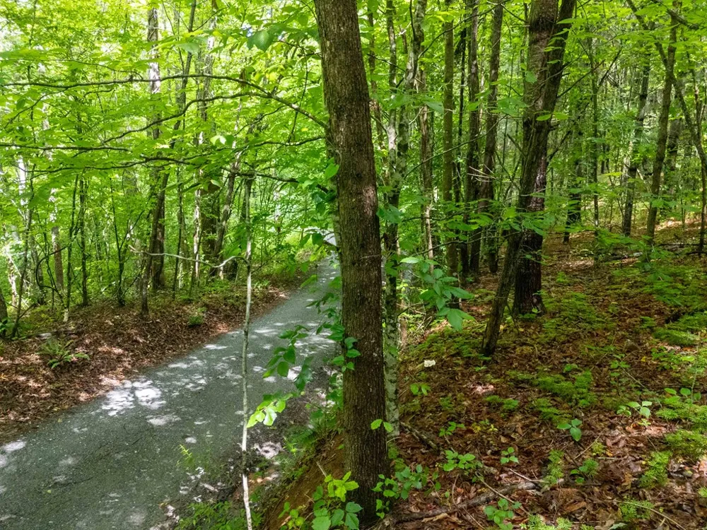 Old Cullowhee Rd Sylva, NC 28779