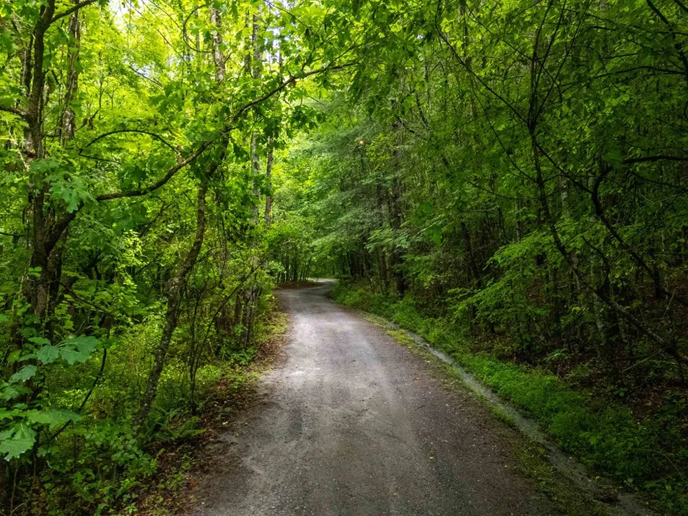 Old Cullowhee Rd Sylva, NC 28779