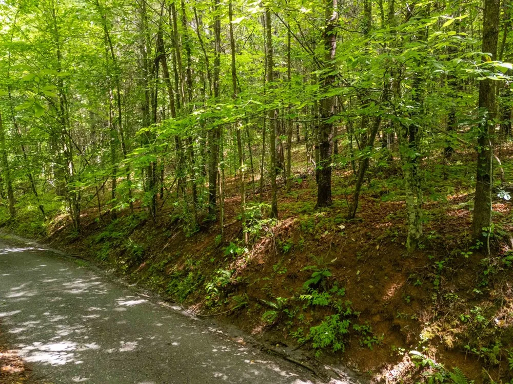 Old Cullowhee Rd Sylva, NC 28779