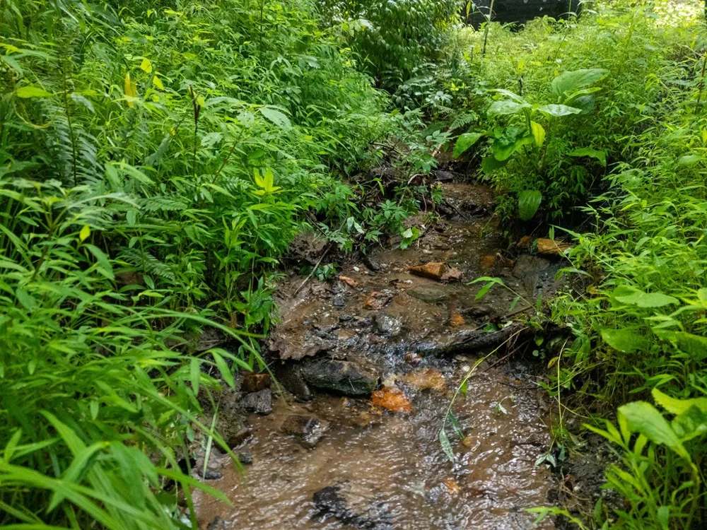 Old Cullowhee Rd Sylva, NC 28779