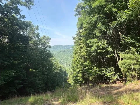 00 Burnt Mountain