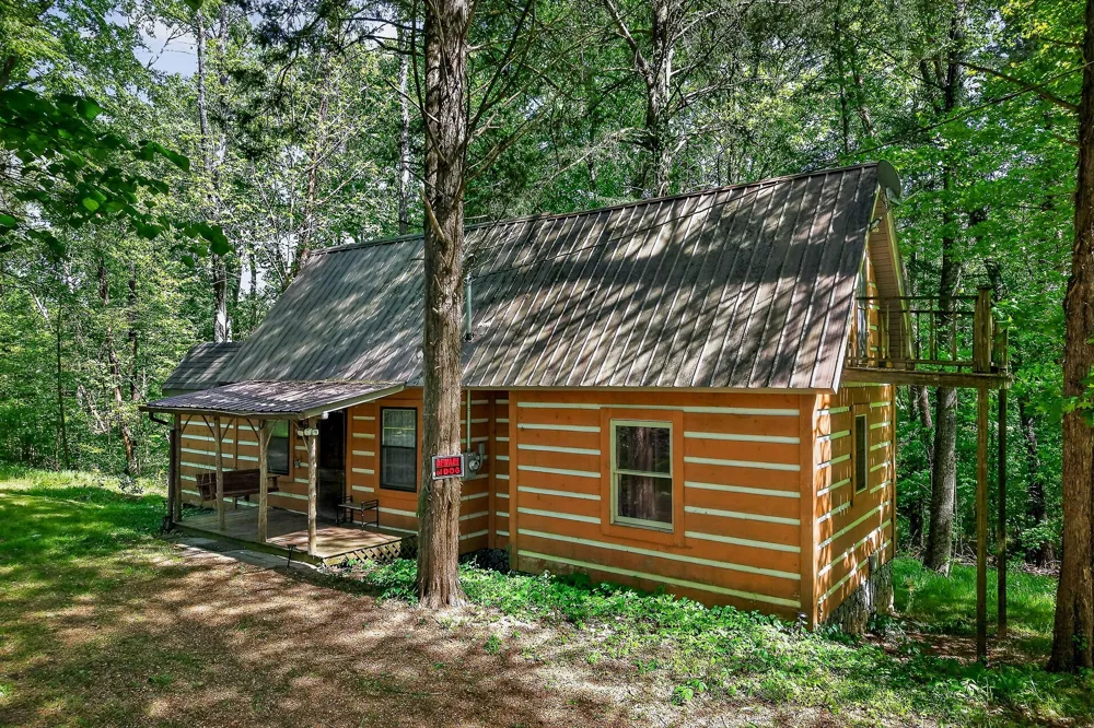 305 Caney Bend Rd Doyle, TN 38559