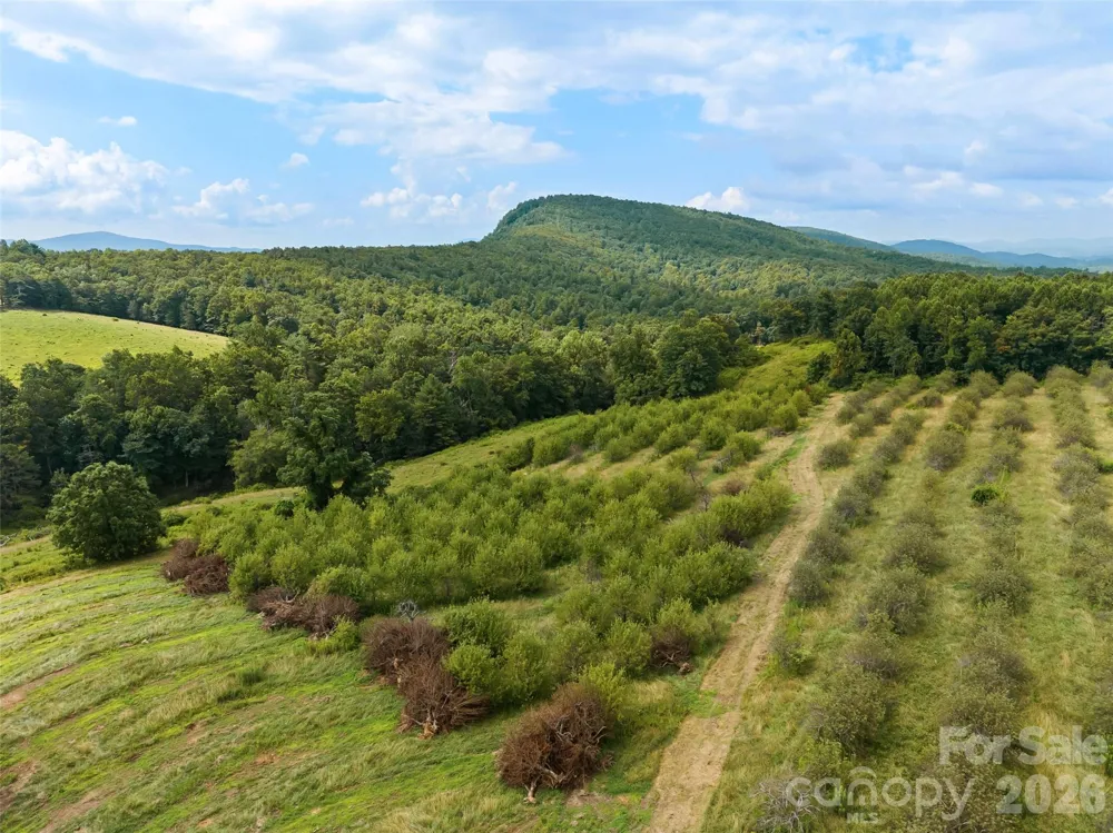 0 Summer Road #5 Hendersonville, NC 28792