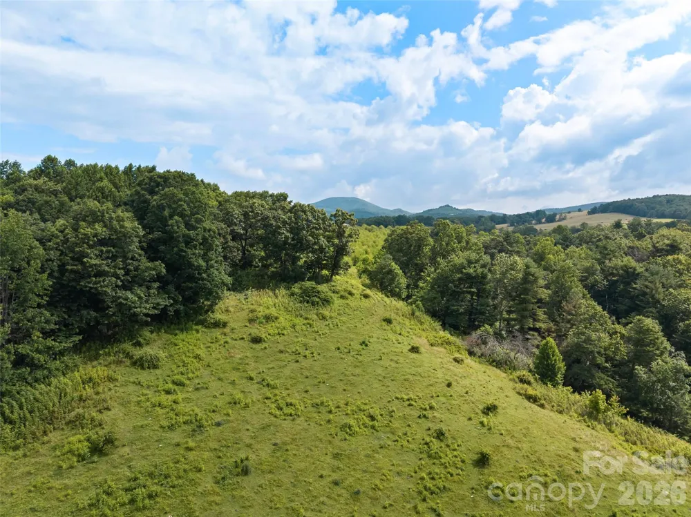 0 Summer Road #5 Hendersonville, NC 28792