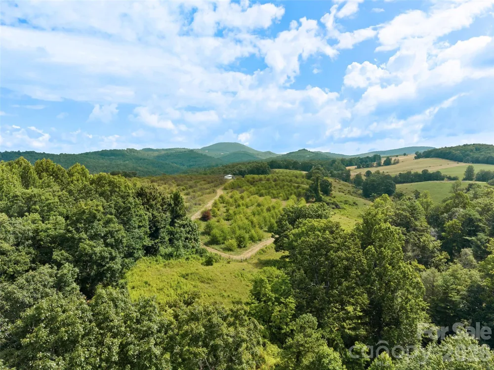 0 Summer Road #5 Hendersonville, NC 28792