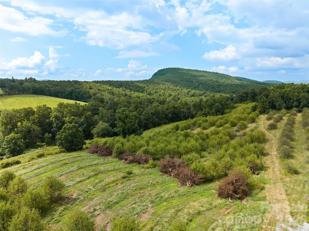 0 Summer Road #5 Hendersonville, NC 28792