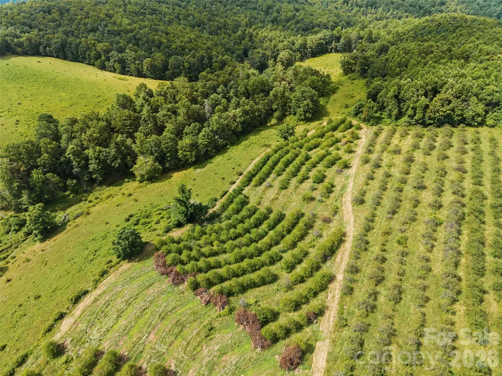 0 Summer Road #5 Hendersonville, NC 28792