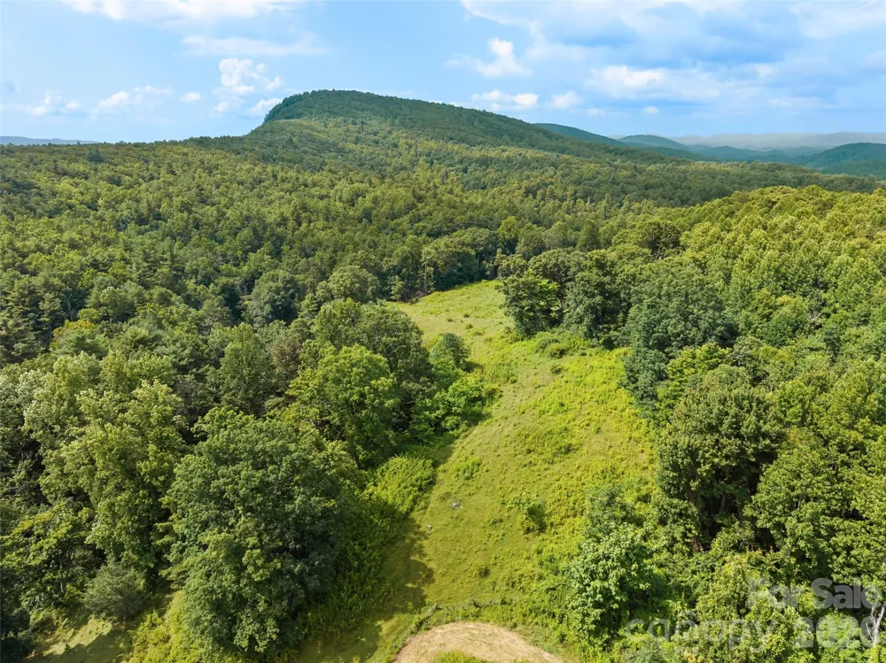 0 Summer Road #5 Hendersonville, NC 28792