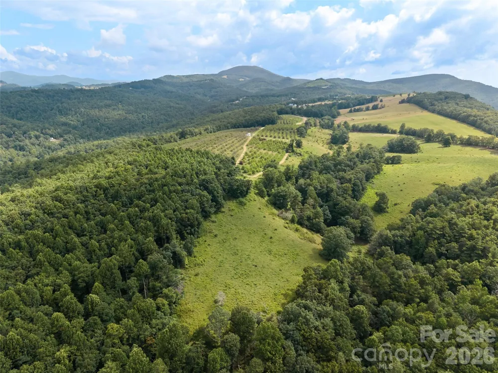 0 Summer Road #5 Hendersonville, NC 28792