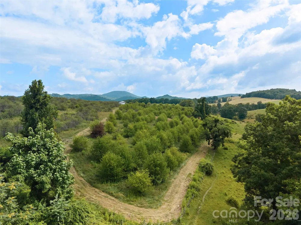 0 Summer Road #5 Hendersonville, NC 28792