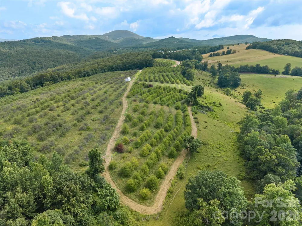 0 Summer Road #5 Hendersonville, NC 28792