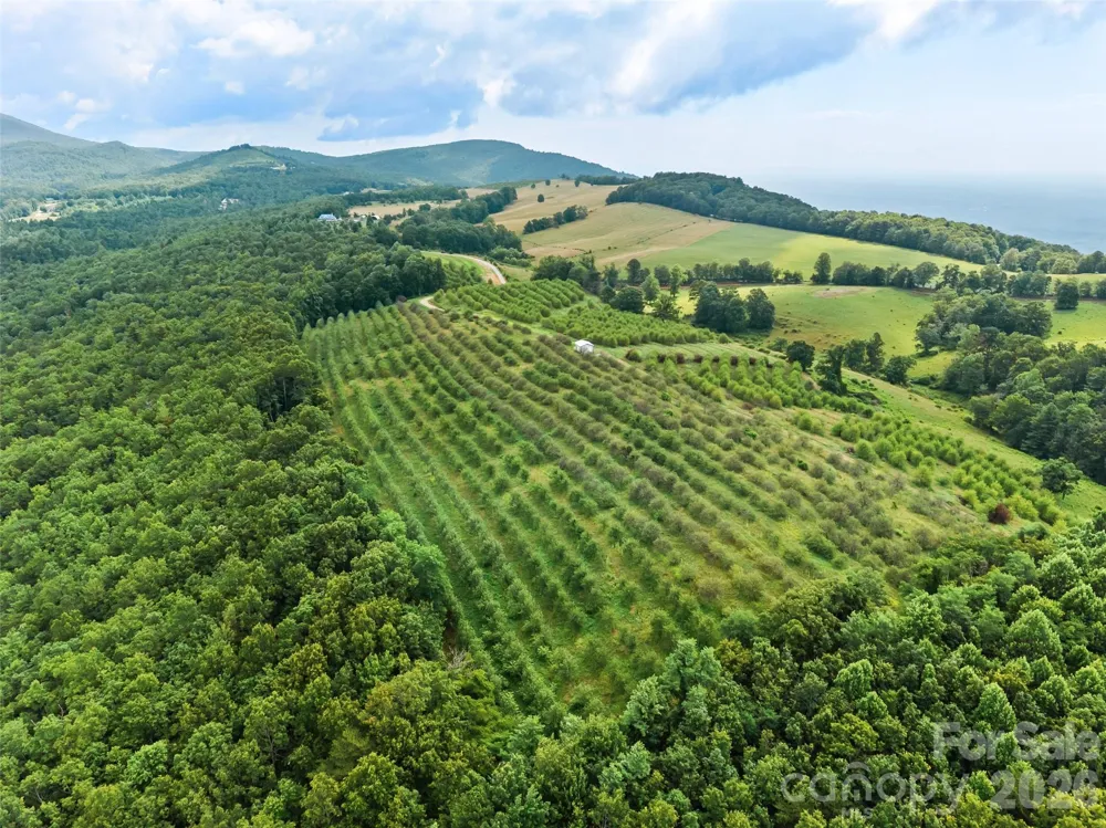 0 Summer Road #6 Hendersonville, NC 28792
