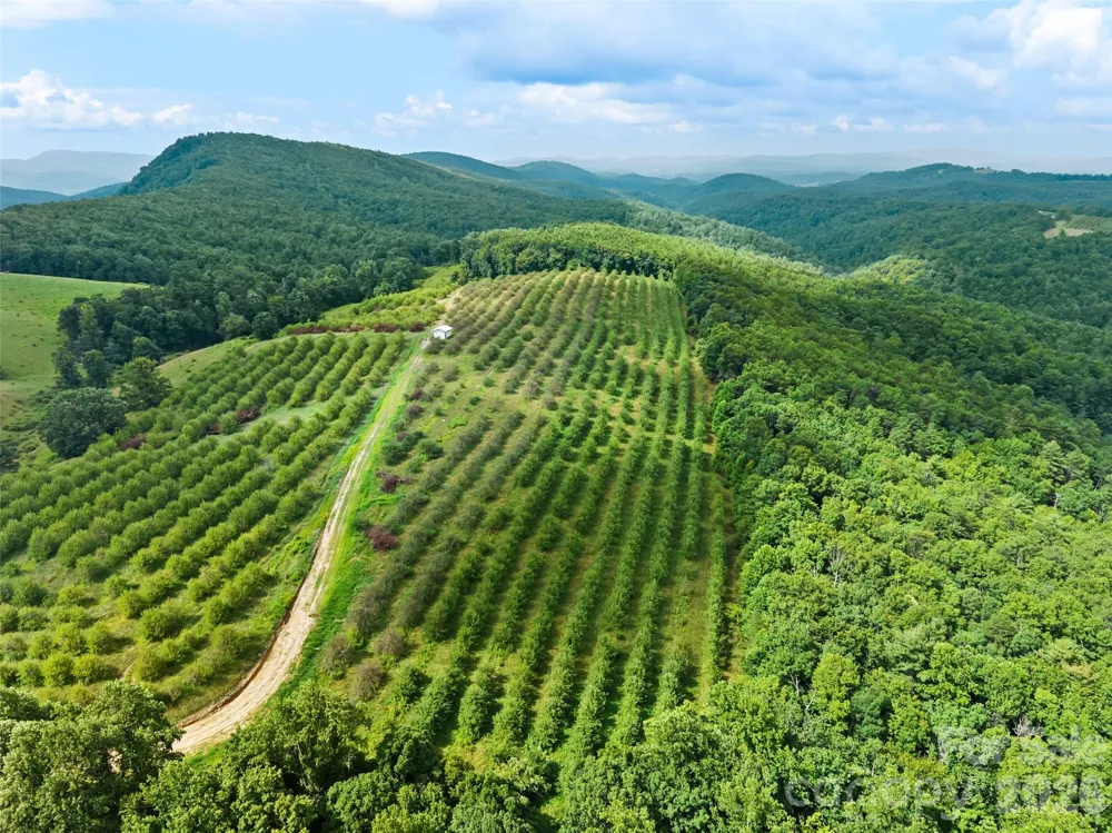 0 Summer Road #6 Hendersonville, NC 28792