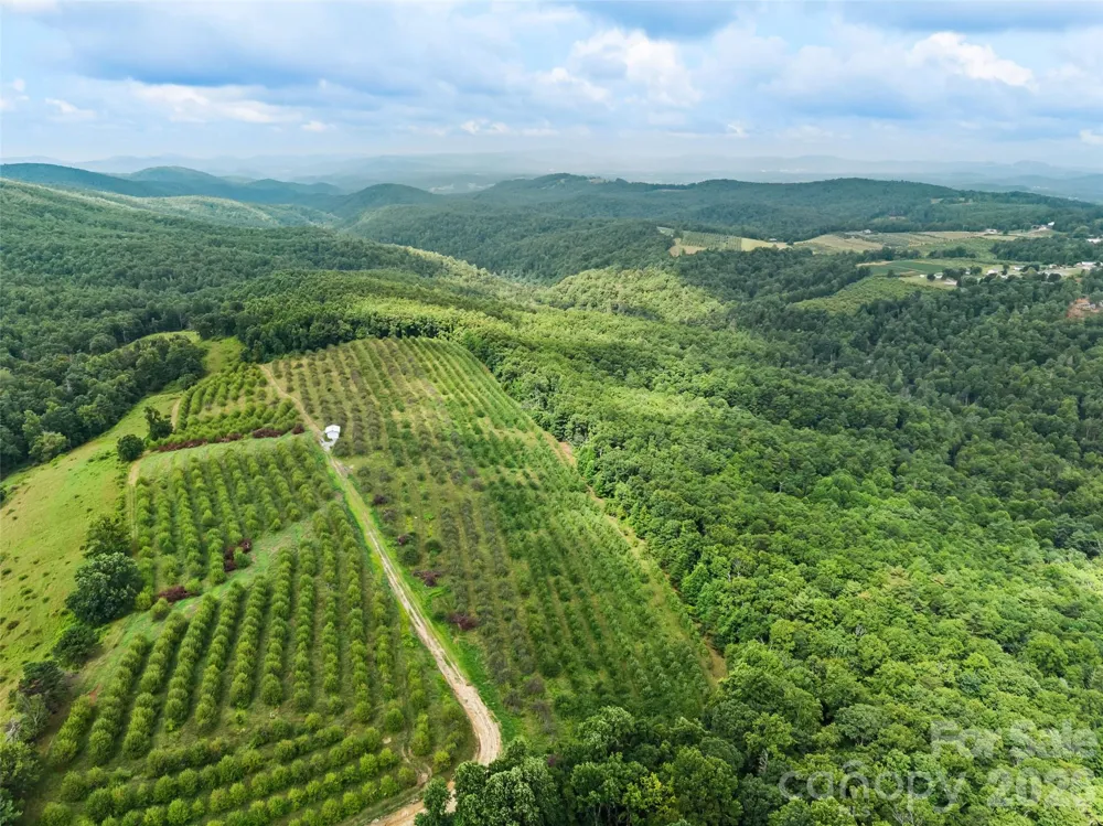 0 Summer Road #6 Hendersonville, NC 28792