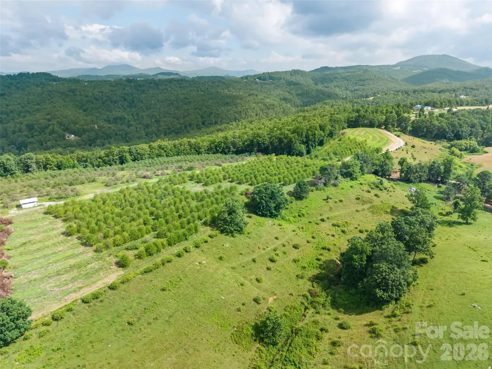 0 Summer Road #2 Hendersonville, NC 28792