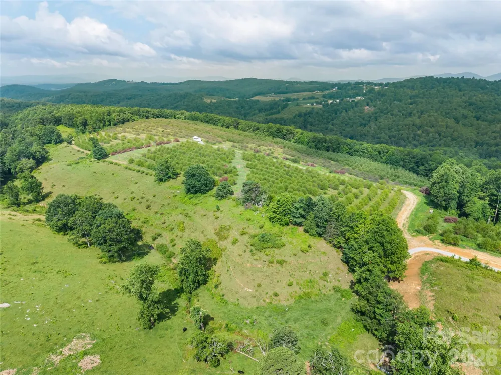 0 Summer Road #2 Hendersonville, NC 28792
