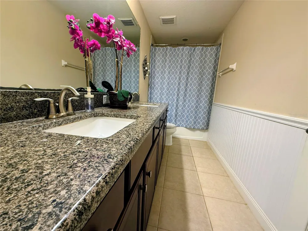 2468 WHITTLER BRANCH Odessa, FL 33556