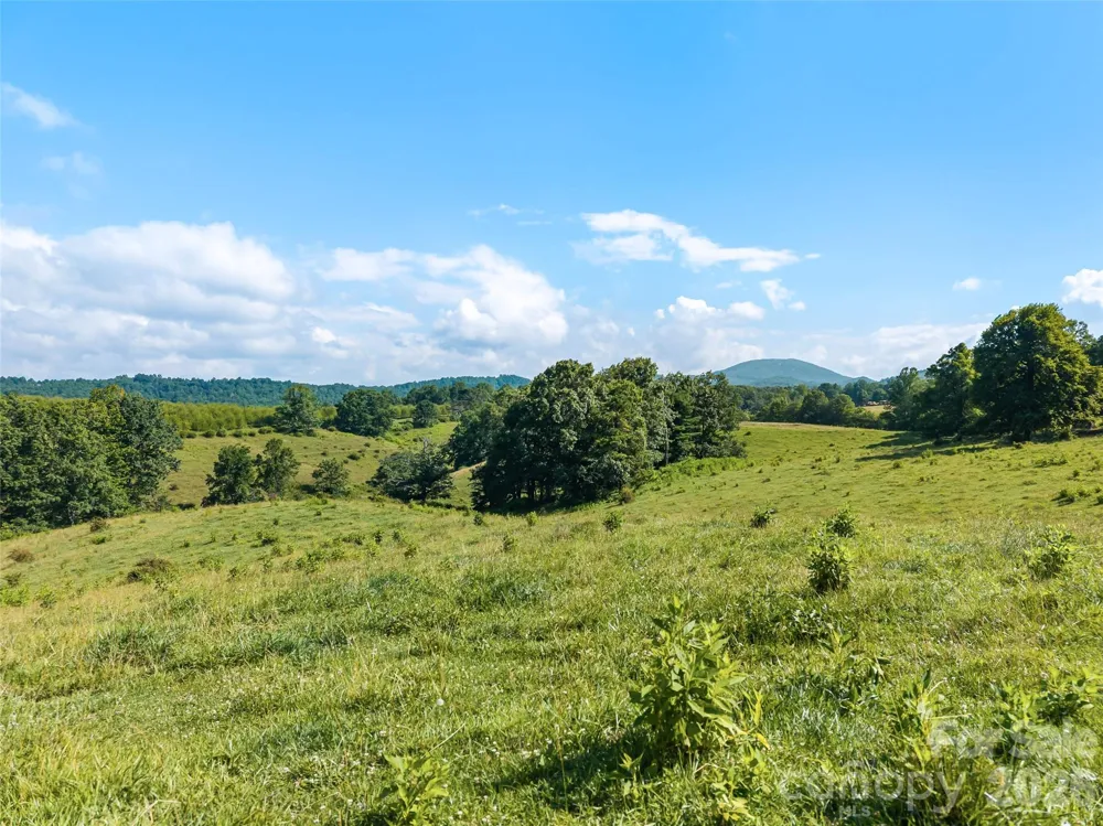 0 Summer Road #4 Hendersonville, NC 28792