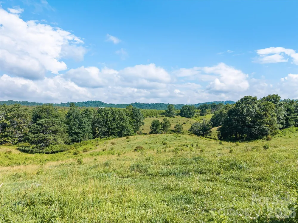 0 Summer Road #4 Hendersonville, NC 28792