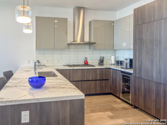 123 LEXINGTON AVE #1402 San Antonio, TX 78205