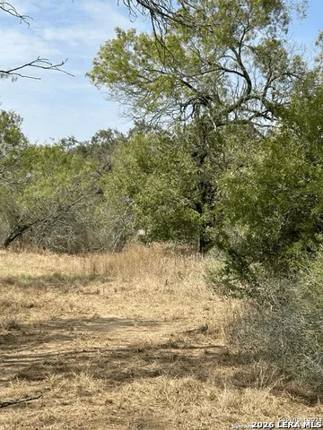 TBD Iuka Rd Poteet, TX 78065