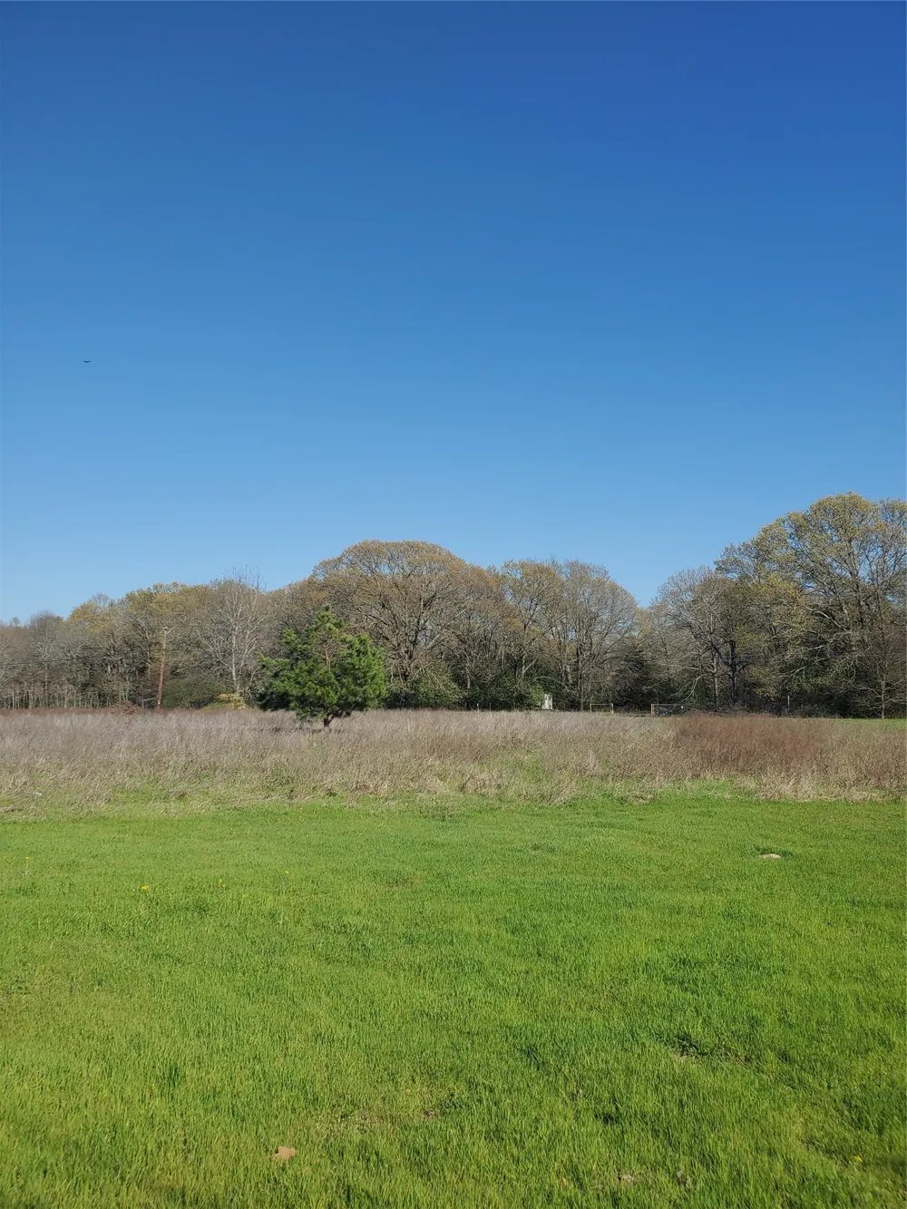 Bayshore Drive Athens, TX 75752