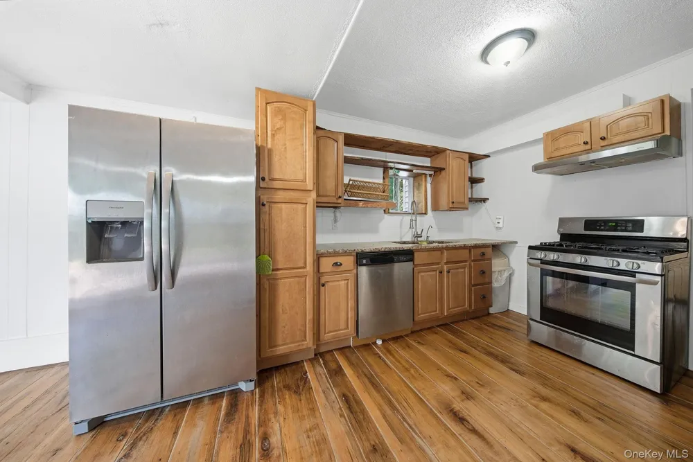 64 & 68 Mineral Springs Road Livingston Manor, NY 12758