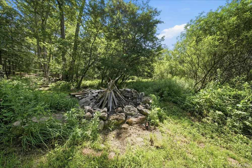 64 & 68 Mineral Springs Road Livingston Manor, NY 12758