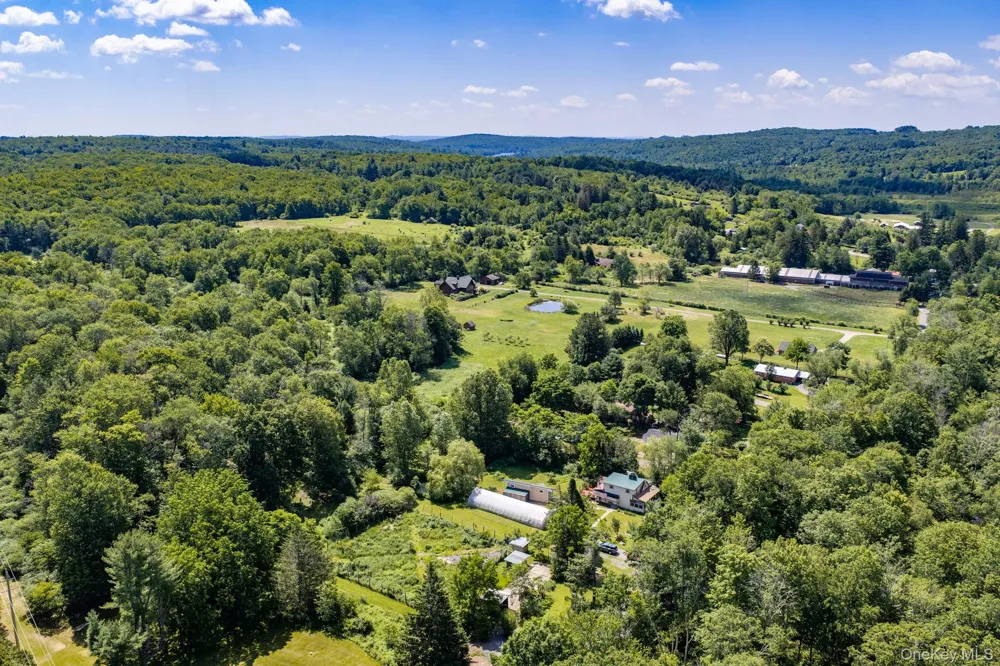 64 & 68 Mineral Springs Road Livingston Manor, NY 12758