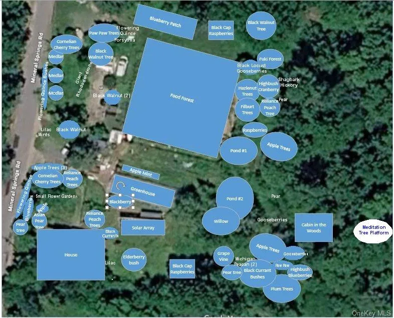 64 & 68 Mineral Springs Road Livingston Manor, NY 12758