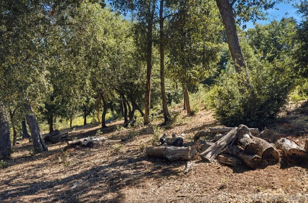 Toyan Mountain Lane Julian, CA 92036