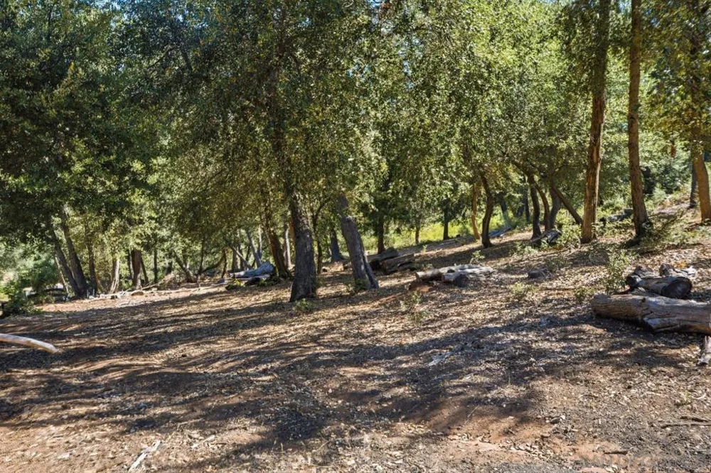 Toyan Mountain Lane Julian, CA 92036