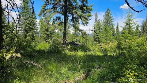 432 X Bussard Lake Road